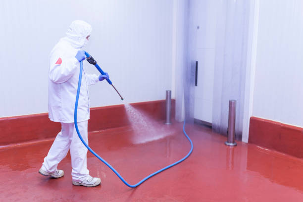 Best Roof Washing  in Monroe Manor, NJ